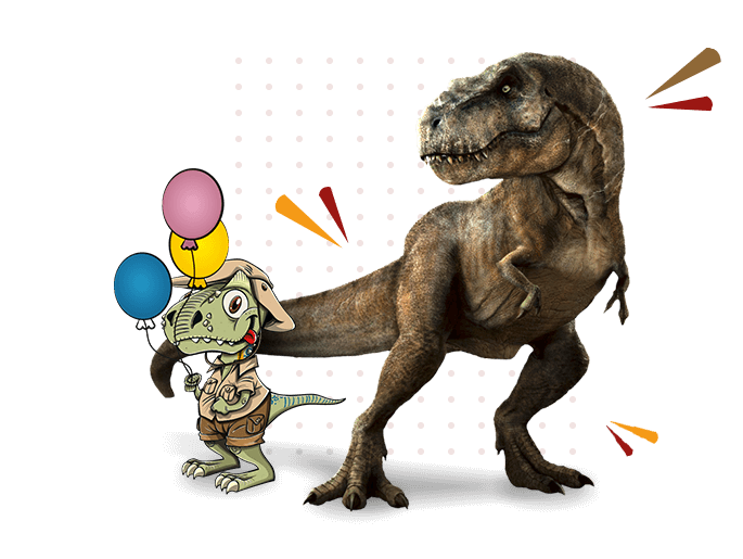Festas de Aniversário